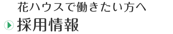 採用情報はこちらをクリック